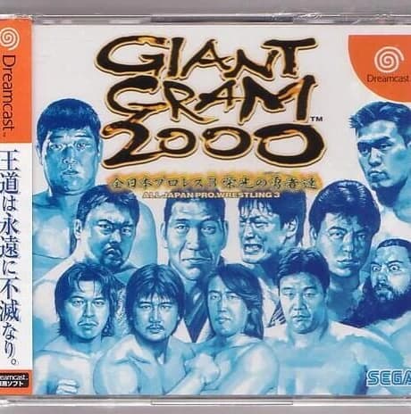 Giant Gram 2000: All Japan Pro Wrestling 3