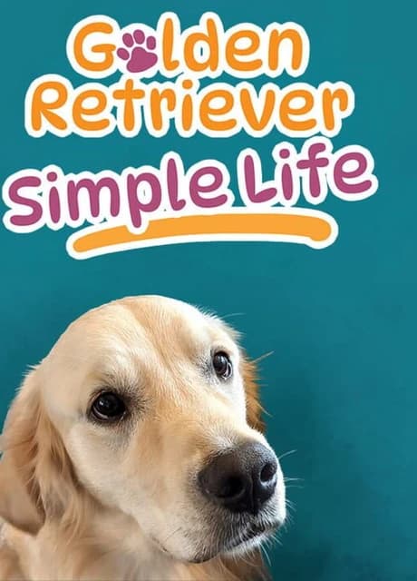 Golden Retriever Simple Life