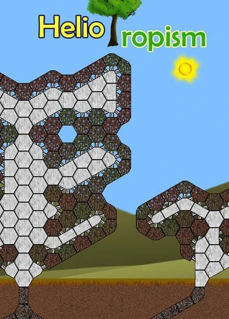 Heliotropism