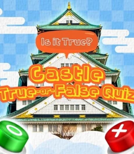 Is it True? Castle True-or-False Quiz