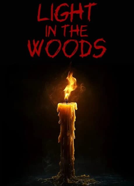 Light in the Woods