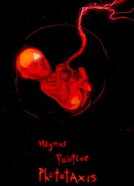 Magnus Positive Phototaxis