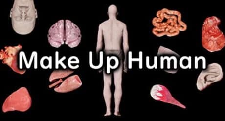 Make Up Human