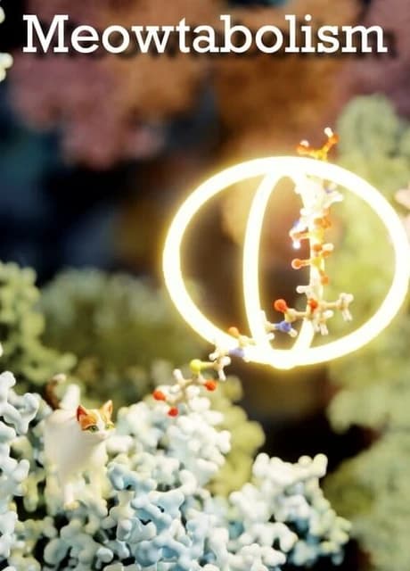 Meowtabolism: Examining Feline Behavior Within Unicellular Algae