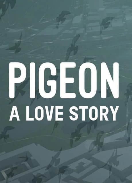 Pigeon: A Love Story