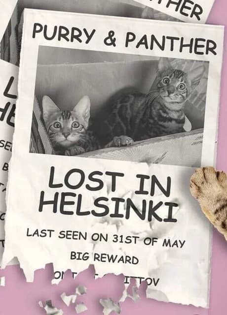 Purry & Panther: Lost in Helsinki