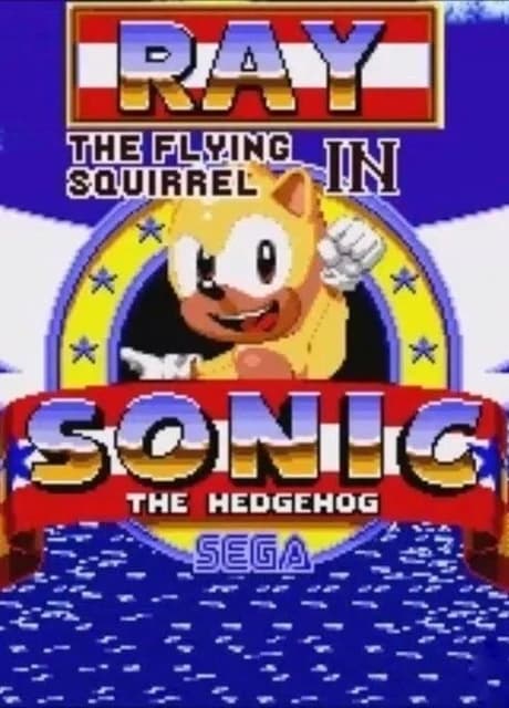 Ray the Flying Squirrel in Sonic the Hedgehog