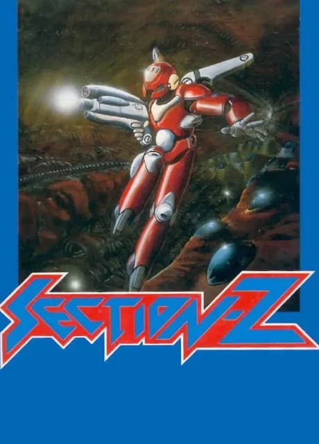 Section-Z
