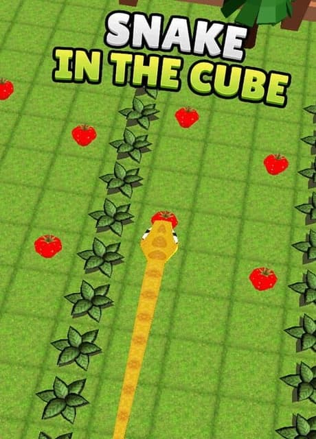 Snake in the Cube