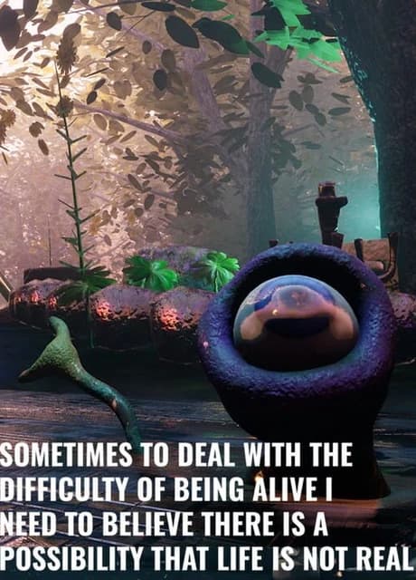 Sometimes to Deal With the Difficulty of Being Alive I Need to Believe There Is a Possibility That Life Is Not Real
