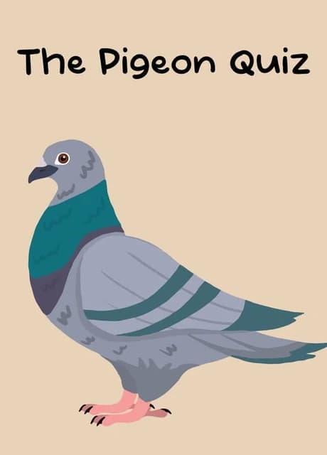 The Pigeon Quiz