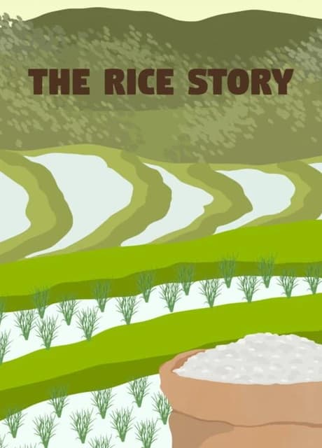 The Rice Story