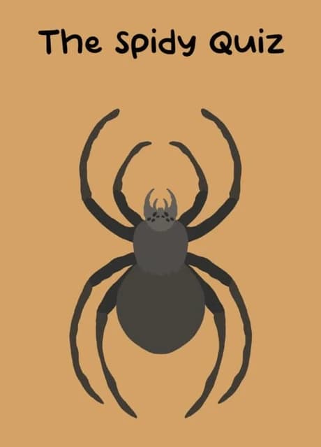 The Spidy Quiz