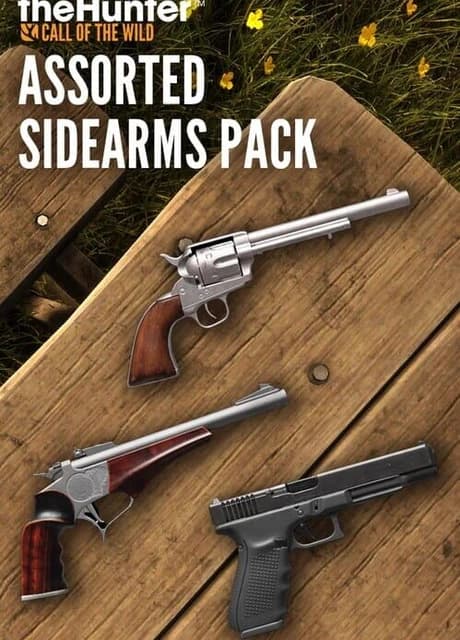 TheHunter: Call of the Wild - Assorted Sidearms Pack