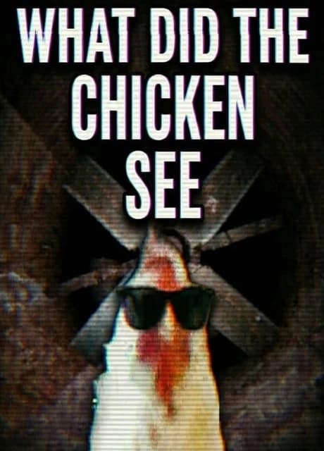 What Did the Chicken See